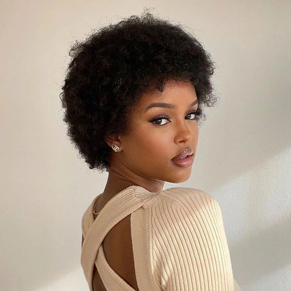 Flash Sale | Natural Afro Glueless Wig Human Hair Wig