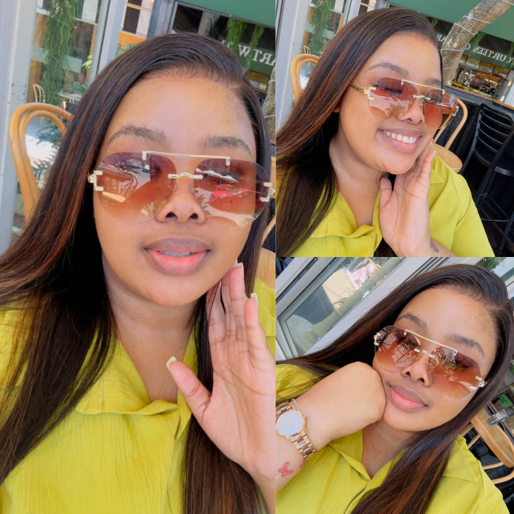 [paballokgware]'s Special Link PreMax Wigs | Ultra Natural Hairline Brown Highlight & Natural Black Silky Straight Glueless 13x4 Frontal Lace Long Wig Pre-Cut Lace
