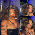 [ss_eba]'s Special Link PreMax Wigs | Highlight Brown 180% Density Deep Wave 4x4 Closure Lace Wig Middle Part 100% Human Hair