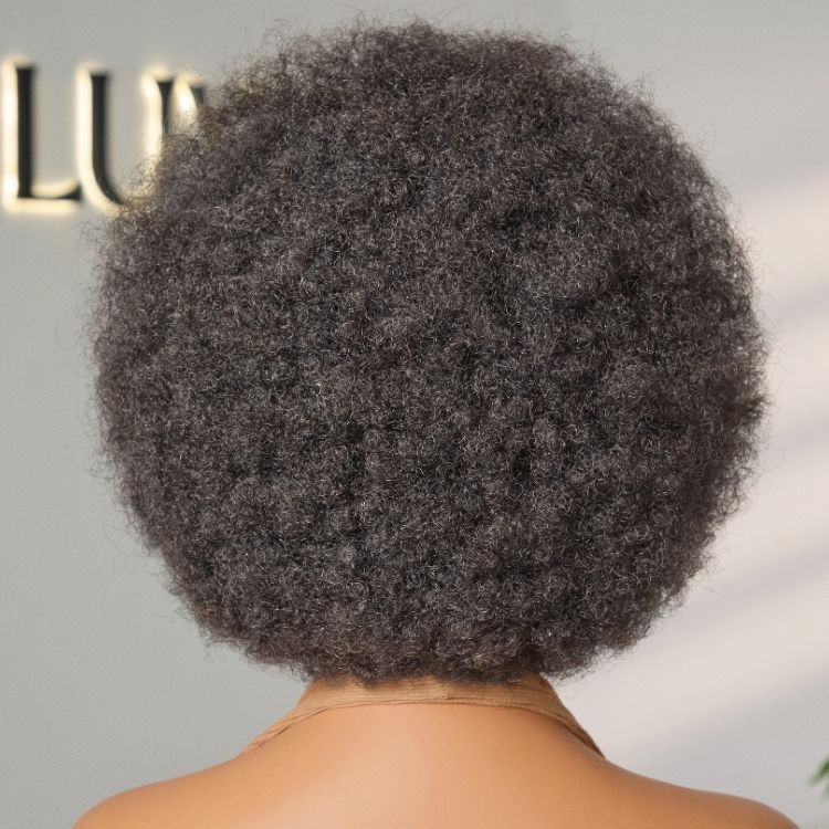 170% Density ReadytoGo Knotless Fulani Braids Natural Afro Glueless 13x4 Frontal Lace Wig 100% Human Hair Wig I Pre-cut Lace & Pre-Bleached