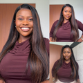 [zona_davani]'s Special Link PreMax Wigs | Ultra Natural Hairline Brown Highlight & Natural Black Silky Straight Regular Cap & Drawstring Cap Glueless 13x4 Frontal Lace Long Wig Pre-Cut Lace